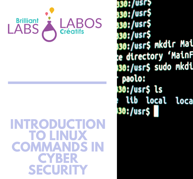 An Introduction to Linux. Linux is an operating system (a…, by ThadT