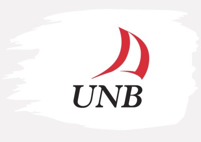 Nuclear engineering at UNB