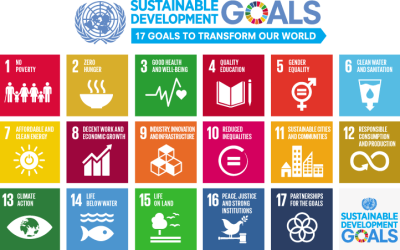 Science Education and the SDGs