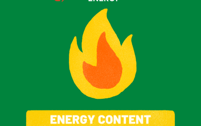 Energy Content of a Dorito