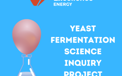 Yeast Fermentation Guided Inquiry Science Project