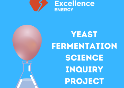 Yeast Fermentation Guided Inquiry Science Project