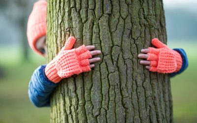 NB Parks Climate Change Experiential Learning Opportunities for K-12