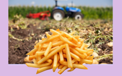 From Farm to Fry: A Quality Control Experience