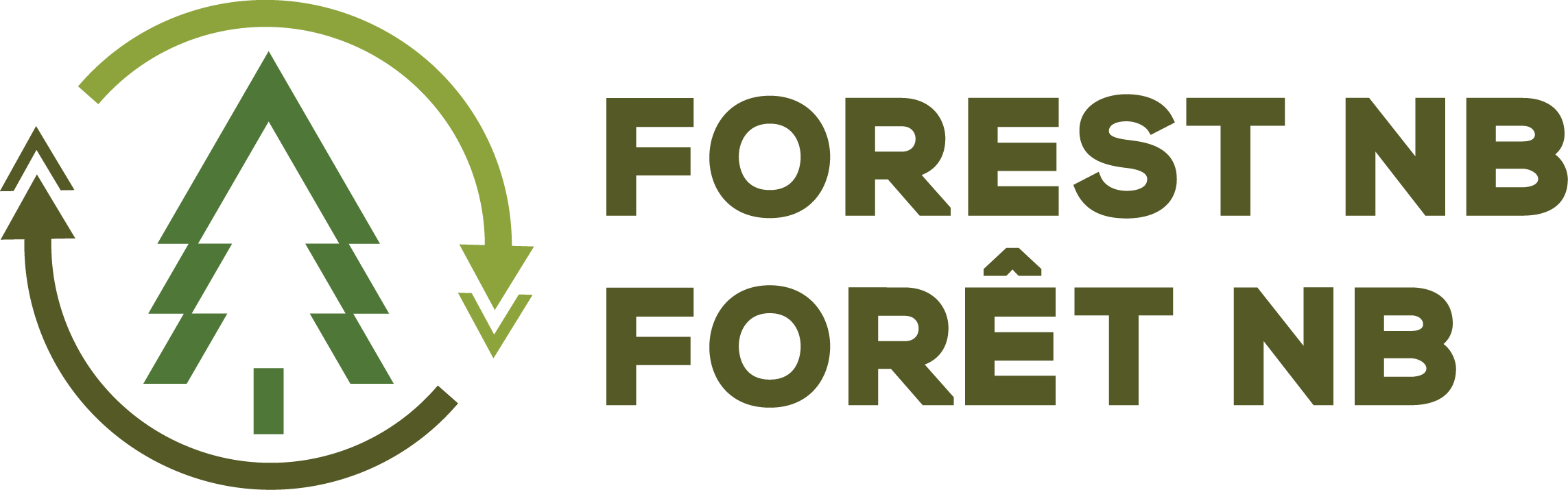 Forest_NB300dpi
