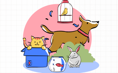 Build a Pet House: Design, Measure, Construct